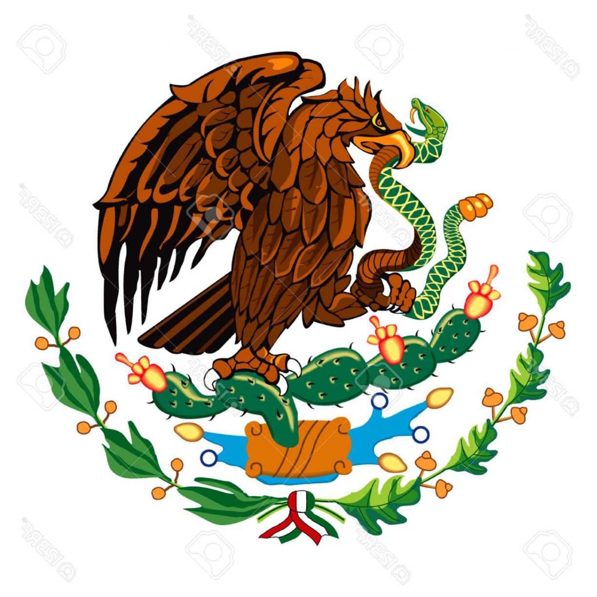 1224x1224 Mexican Flag Coloring