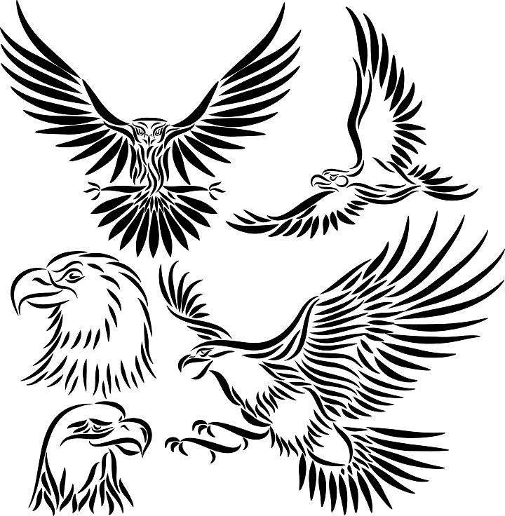 720x736 Mexican Eagle Tribal