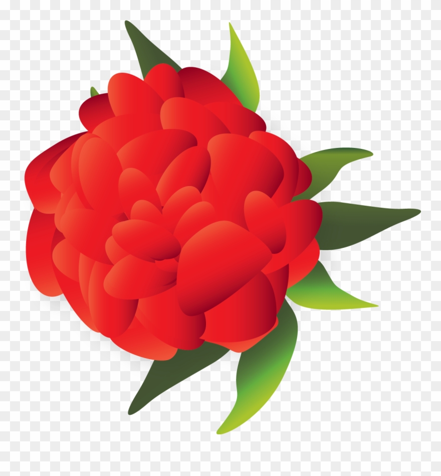 880x949 Orange Flower Clipart Mexican Flower