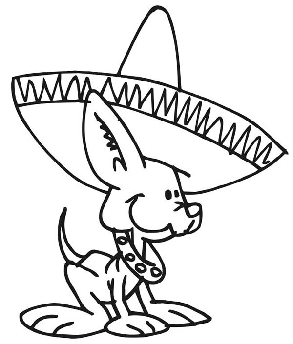 600x705 Cute Little Dog Wearing Mexican Hat Coloring