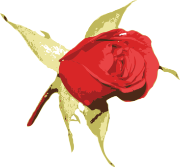 367x340 Petal Drawing Cartoon Rose Transparent Png Clipart Free Download