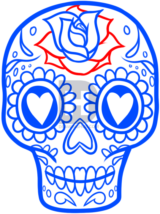 539x720 How To Draw A Sugar Skull Easy, Step
