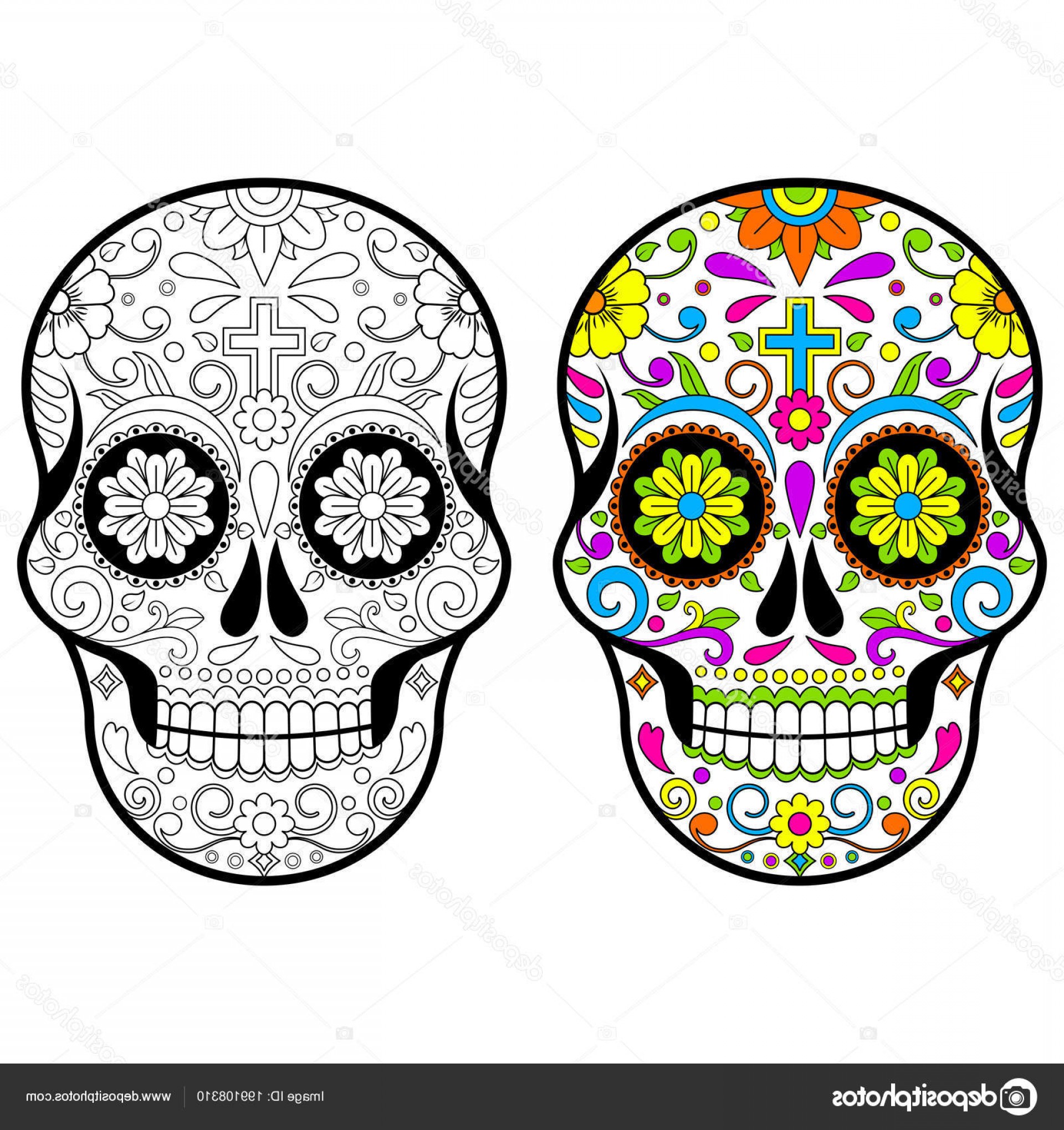 1920x2040 Mexican Day Of The Dead Vector Hoodamathrun