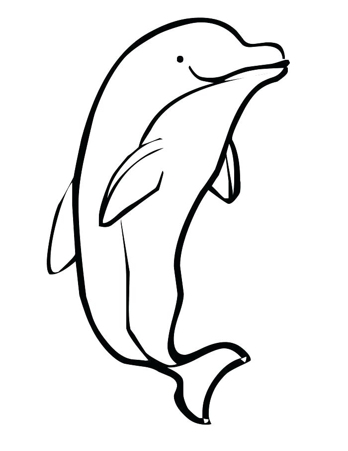 700x905 Free Dolphin Coloring Pages Dolphin Coloring Pages Free Free