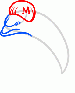 246x302 How To Draw The Miami Dolphins