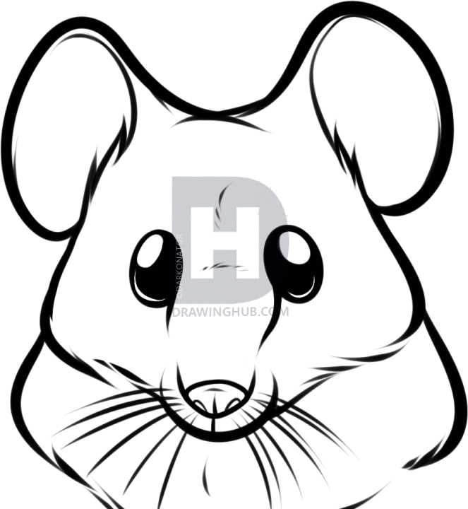663x720 How To Draw A Mouse Face, Step