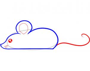 302x239 How To Draw How To Draw A Mouse For Kids