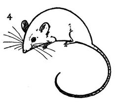 235x213 Best Mice Images Drawings, Ideas For Drawing, Drawing For Kids