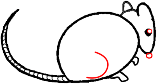 550x294 Big Guide To Drawing Cartoon Mice With Basic Shapes For Kids