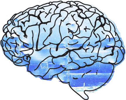 431x342 Michelangelo Vesalius Artist, Biographies, Eng, Historical