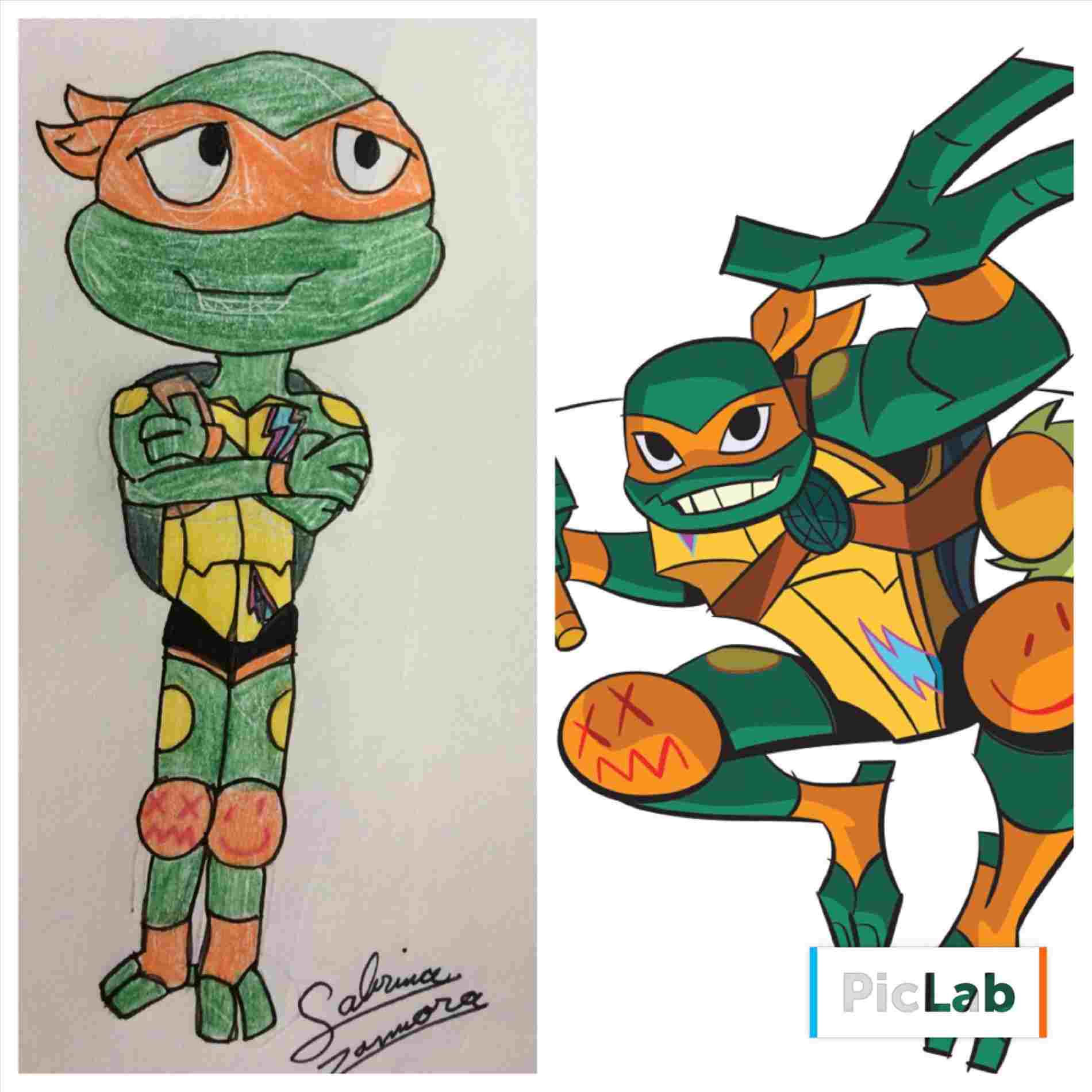 1900x1900 Ninja Turtle Cartoon Drawing