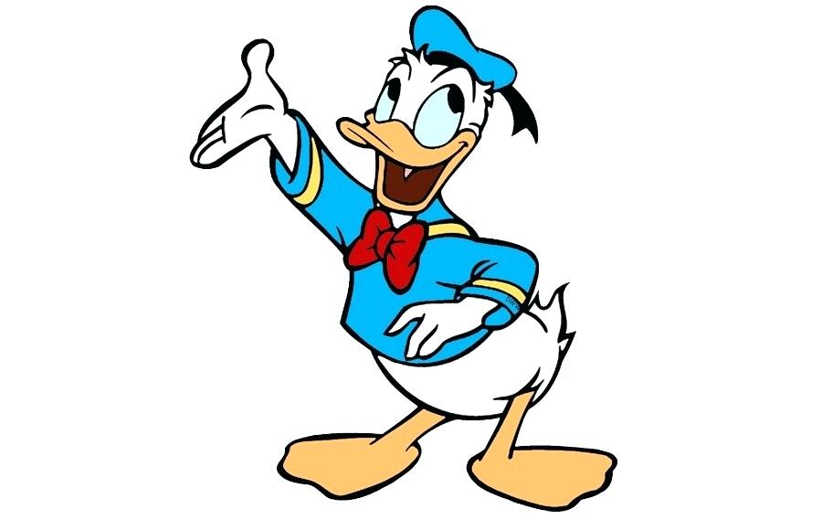 900x580 drawing of daisy duck mickey mouse mouse duck daisy duck drawing