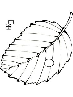 236x314 Label The Caterpillar Diagram Printout