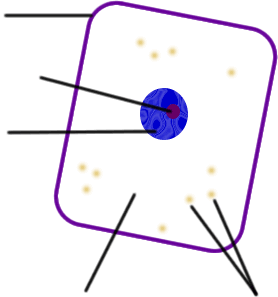 278x297 Microscope Cytology Review