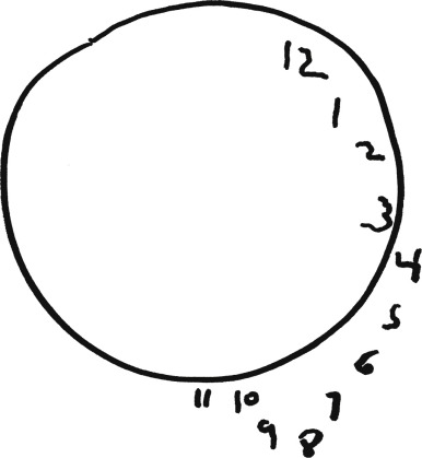 386x419 The Neuro Ophthalmic Examination