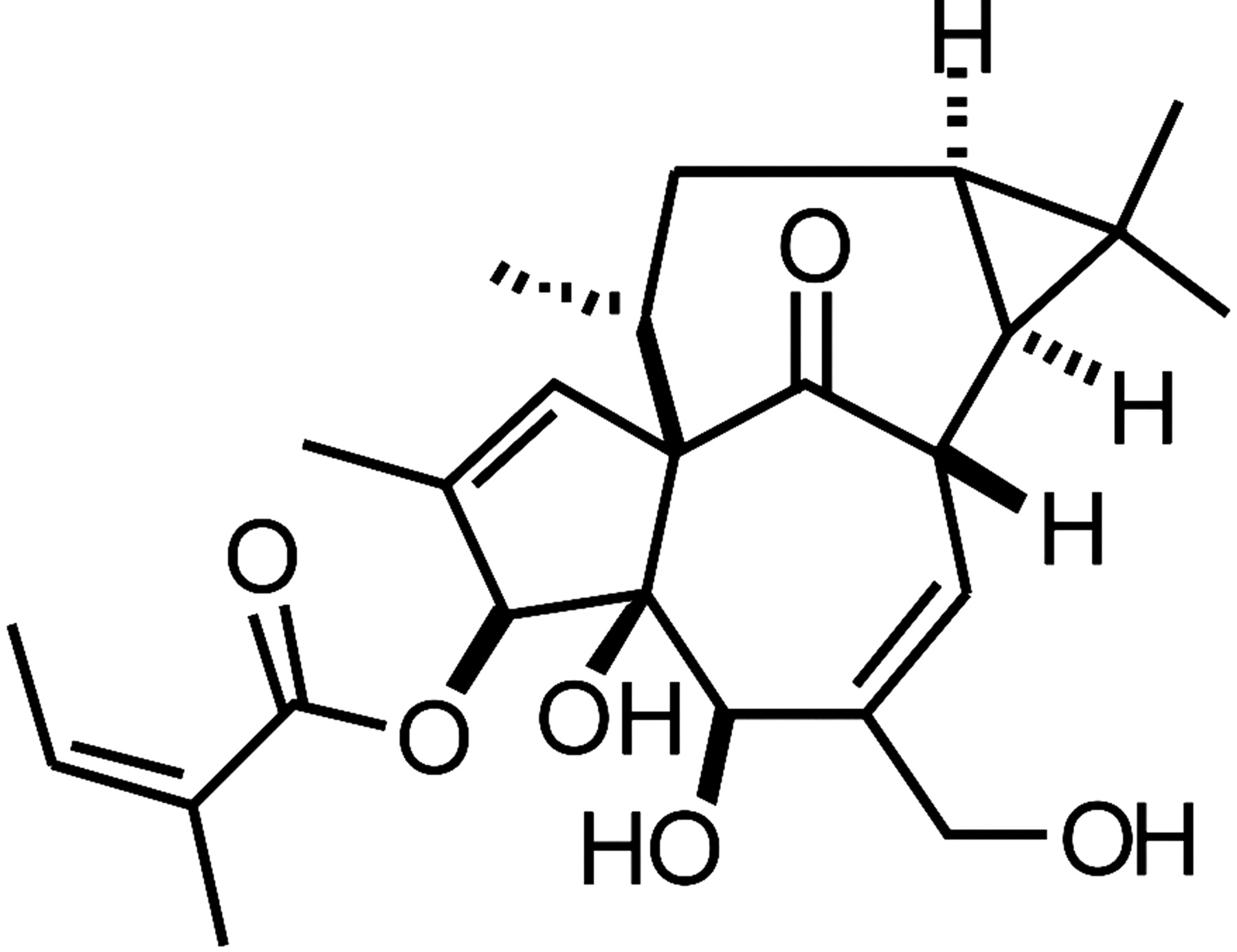 1800x1386 Antitumor Activity Of Ingenyl Angelate Cancer Research