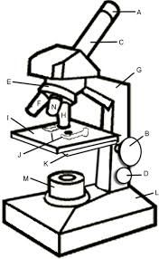 176x286 Image Result For Microscope Drawing Sanskar Teaching Science