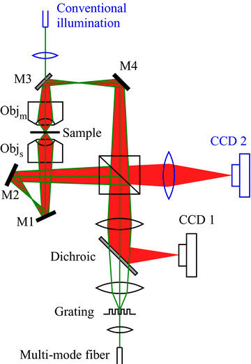 360x521 The Schematic Drawing Of An Microscope The Illumination Light