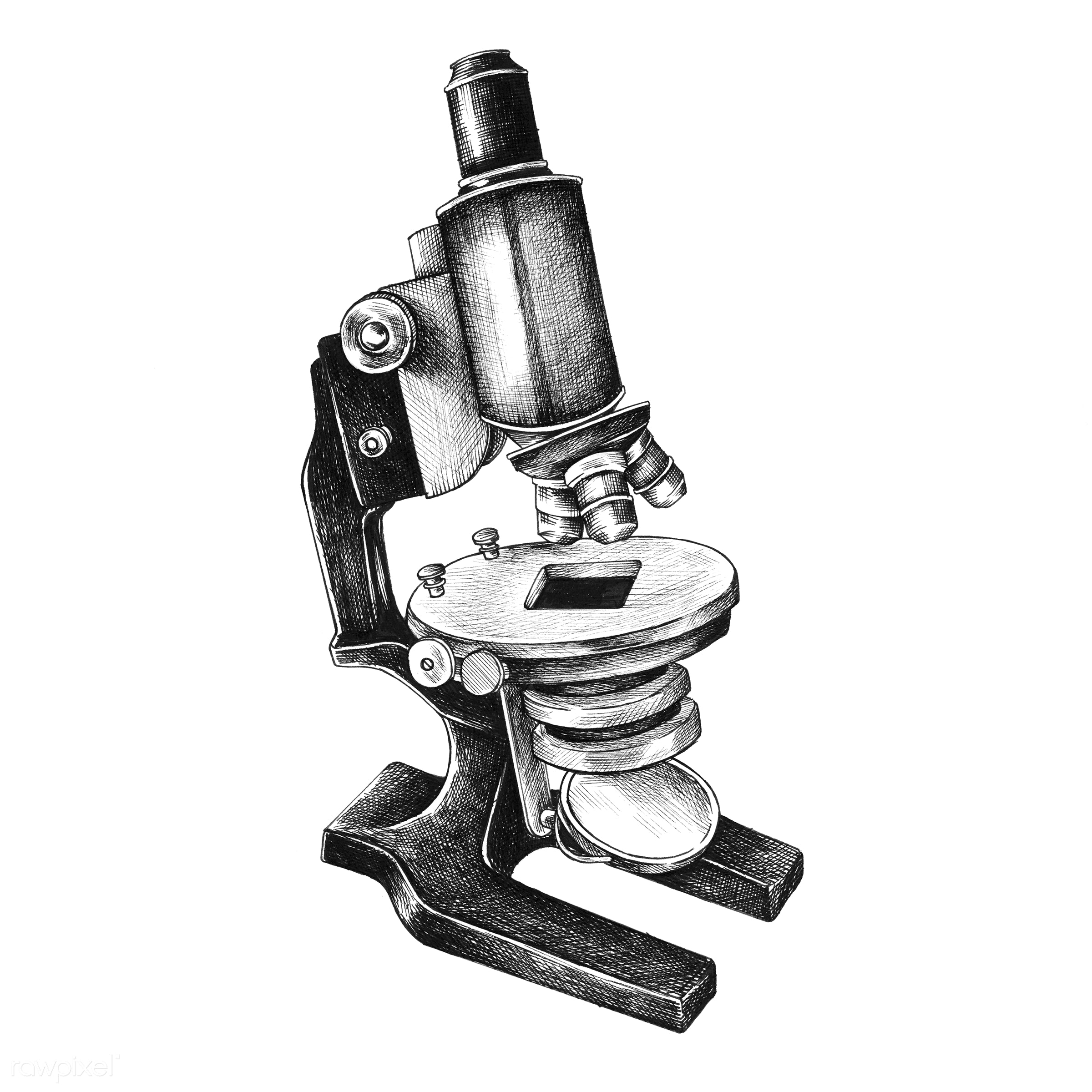 2400x2400 Scientist Drawing Microscope For Free Download