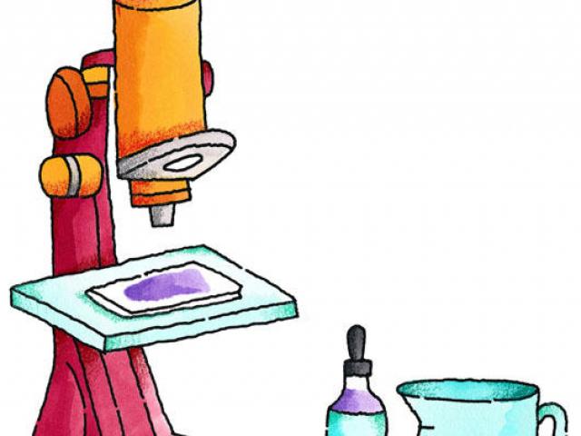 640x480 Microscope Clipart