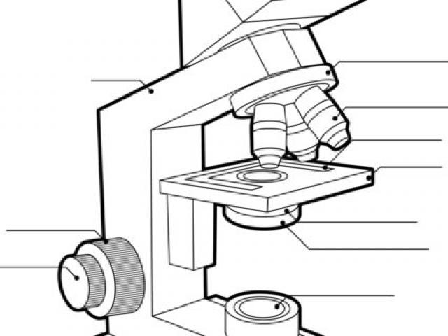 Microscope Line Drawing | Free download on ClipArtMag