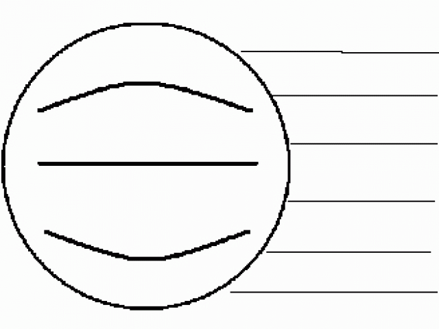 640x480 binocular microscope diagram or binocular microscope diagram