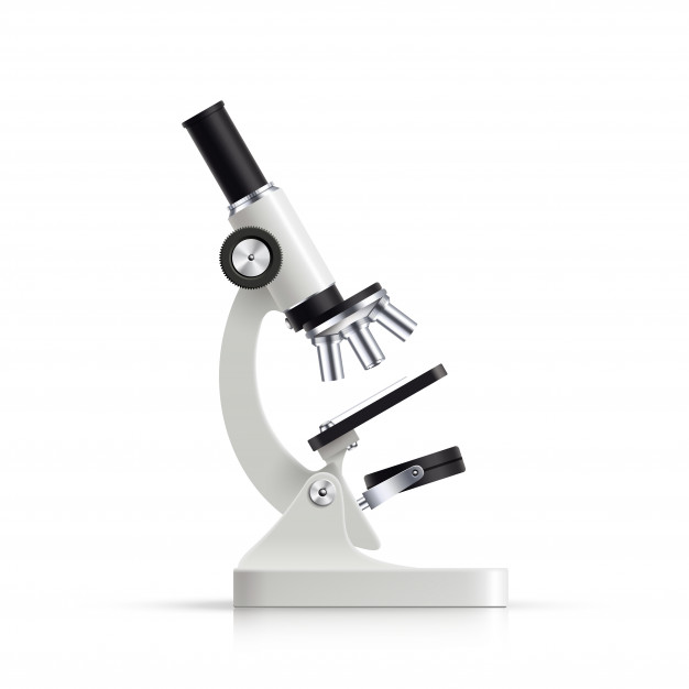 626x626 Microscope Vectors, Photos And Free Download