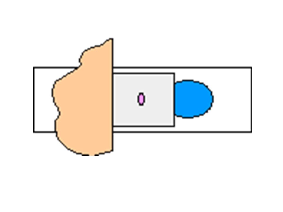 960x720 Topic Microscope Aim How Do We Use The Compound Microscope Do