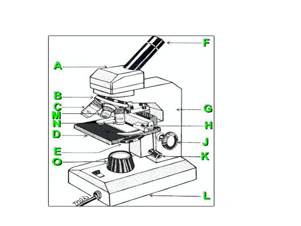 960x720 A Ampp Practice Lab Quiz