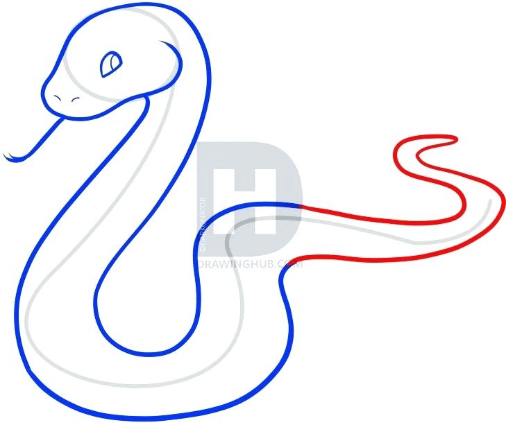 729x613 Easy Snake Drawing Zupa