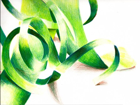 449x339 Value Study Still Life With Colored Pencil Art Lesson Ideas