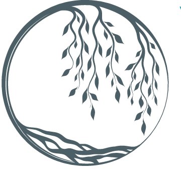 360x360 willow midwife az