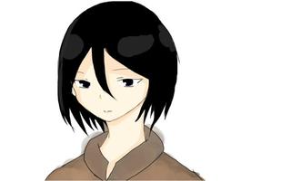 320x200 a quick drawing of mikasa from snk