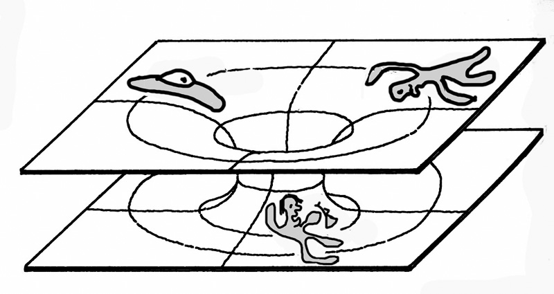 800x425 Million Mile Road Trip