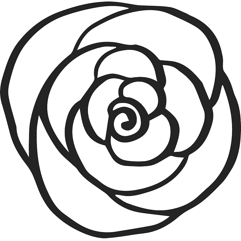 800x800 Collection Of Free Spiral Drawing Rose Download On Ui Ex