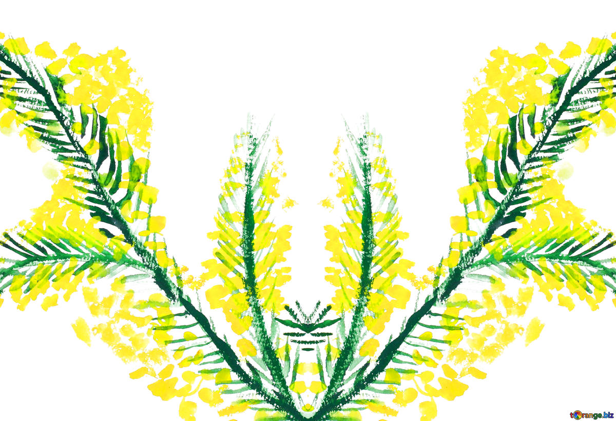 1200x821 download free picture children's drawing a sprig of mimosa on cc