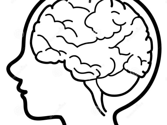 640x480 Collection Of Free Mind Clipart Brain Outline Amusement Clipart