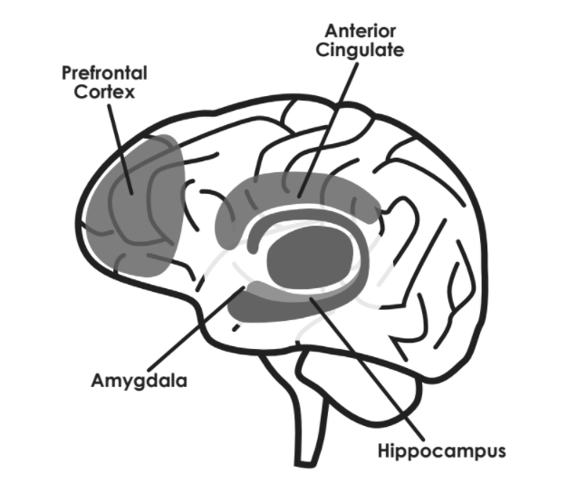 627x535 Practice Exercise Archives