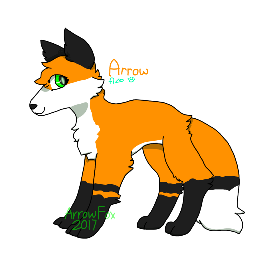 894x894 Collection Of Free Fox Drawing Minecraft Download On Ui Ex