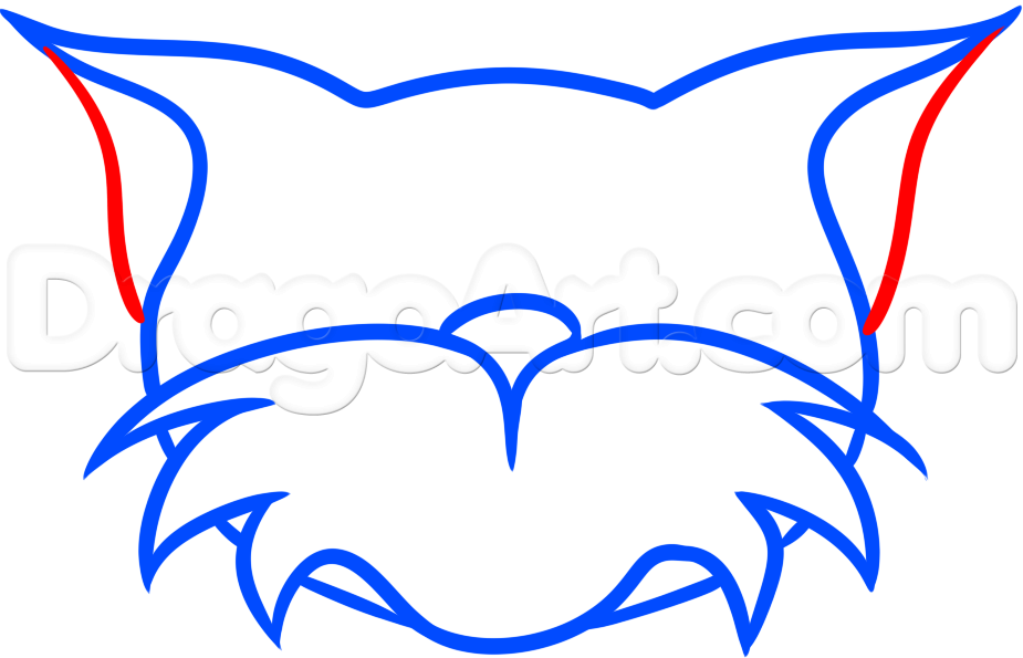 925x595 Draw Mr Stampy Cat, Step