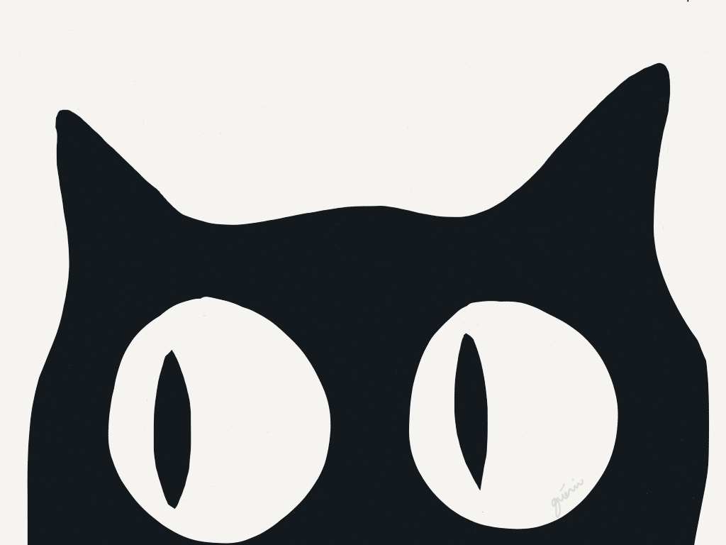 1024x768 Cats Minecraft Blog