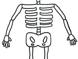 320x240 Skeleton Pictures To Colour Minecraft Skeleton Drawing