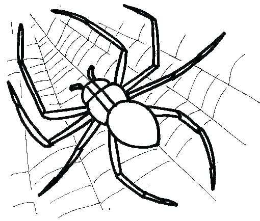 510x434 Minecraft Spider Coloring Pages Spider Coloring Pages Fresh Best