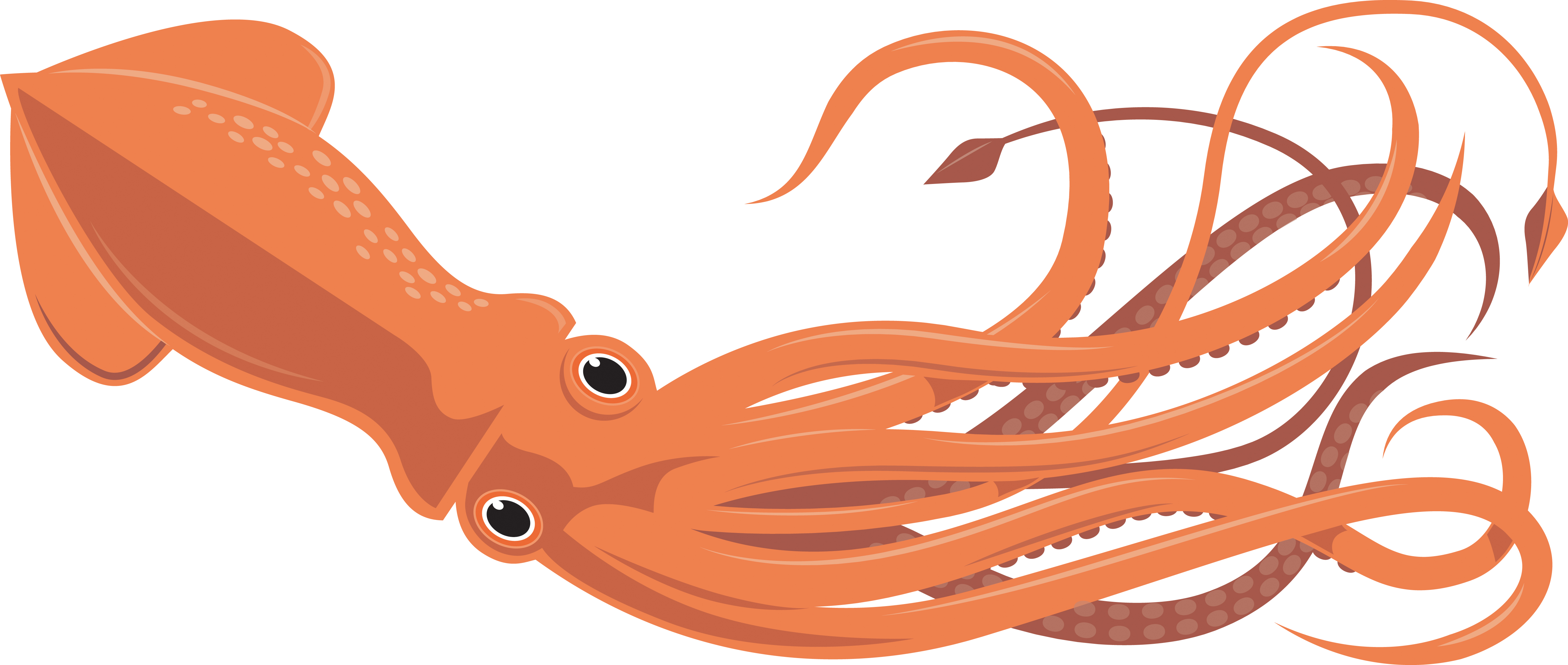 5401x2292 Minecraft Squid Transparent Png Clipart Free Download