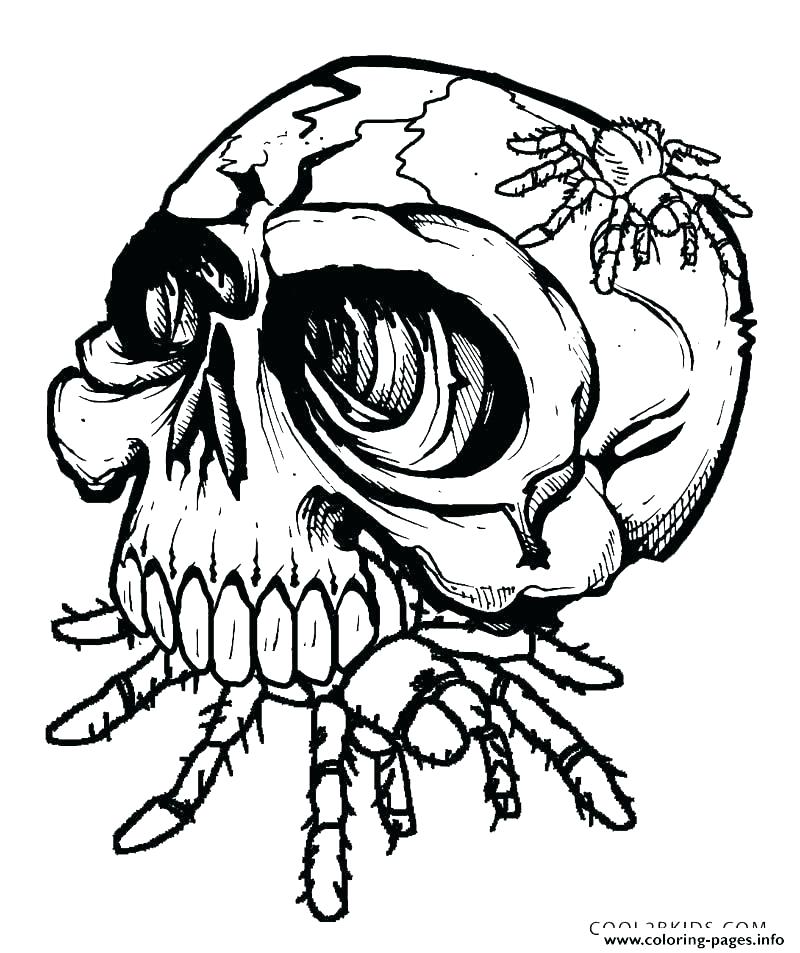 800x953 Collection Minecraft Spider Coloring Pages Pictures