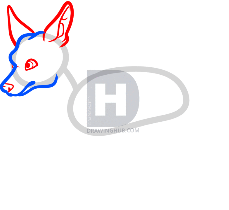 787x720 How To Draw A Miniature Pinscher, Min Pin, Step