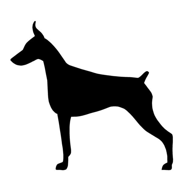 612x612 Doberman Drawing Cartoon For Free Download