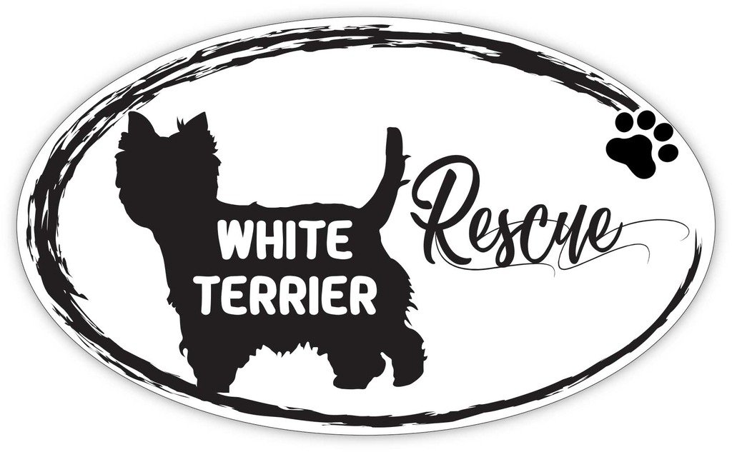 1024x633 miniature schnauzer rescue dogs