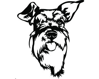 Miniature Schnauzer Drawing | Free download on ClipArtMag