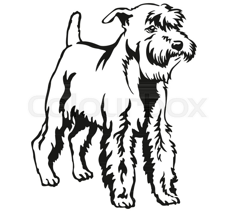 800x708 Decorative Portrait Of Standing In Stock Vector Colourbox